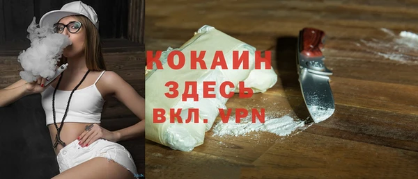 индика Новодвинск