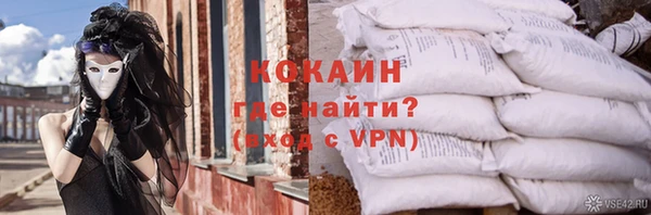 индика Новодвинск
