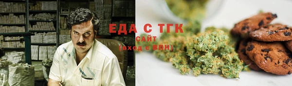 ПСИЛОЦИБИНОВЫЕ ГРИБЫ Новозыбков