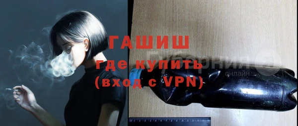 индика Новодвинск