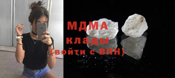 индика Новодвинск