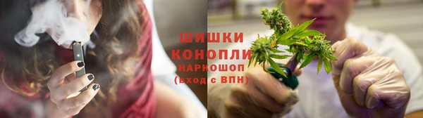 ПСИЛОЦИБИНОВЫЕ ГРИБЫ Новозыбков