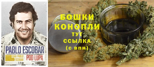 ПСИЛОЦИБИНОВЫЕ ГРИБЫ Новозыбков