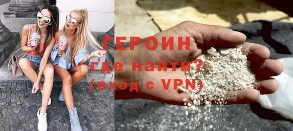 индика Новодвинск