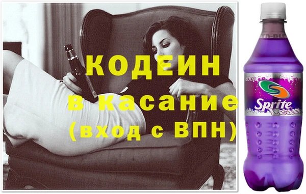 гашик Болотное