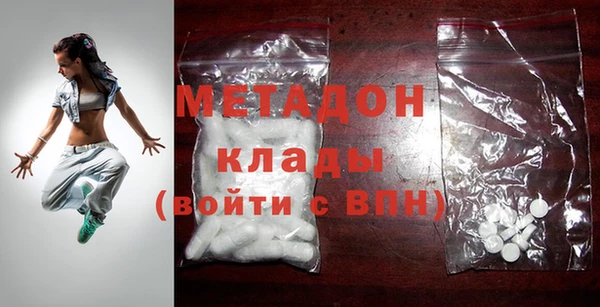 индика Новодвинск