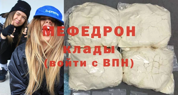 индика Новодвинск