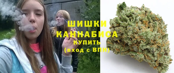 сатива Богданович