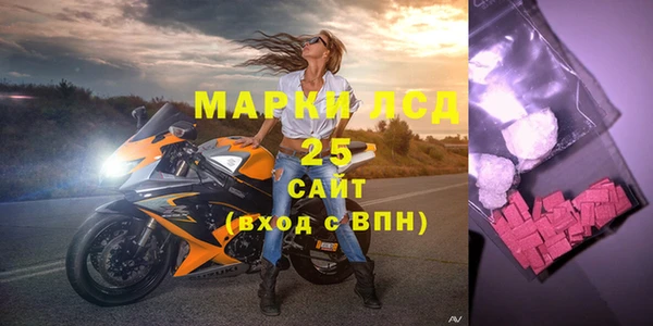 индика Новодвинск