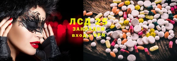 индика Новодвинск