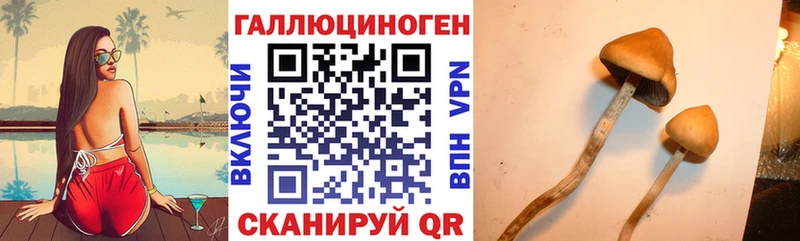 Галлюциногенные грибы Magic Shrooms  Крым 